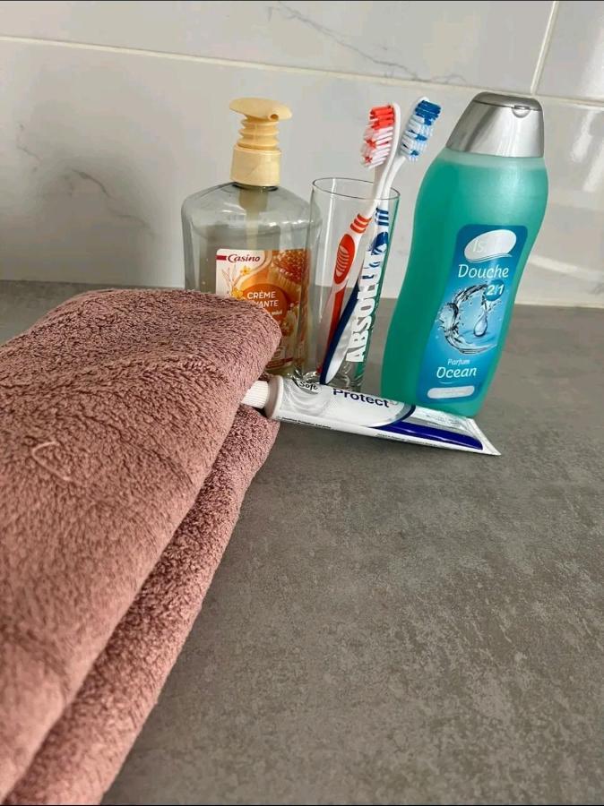 Cosy Et Fonctionnel Cdg Apartment *
